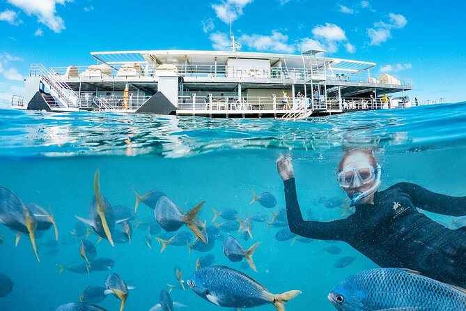 Great Barrier Reef Cruise