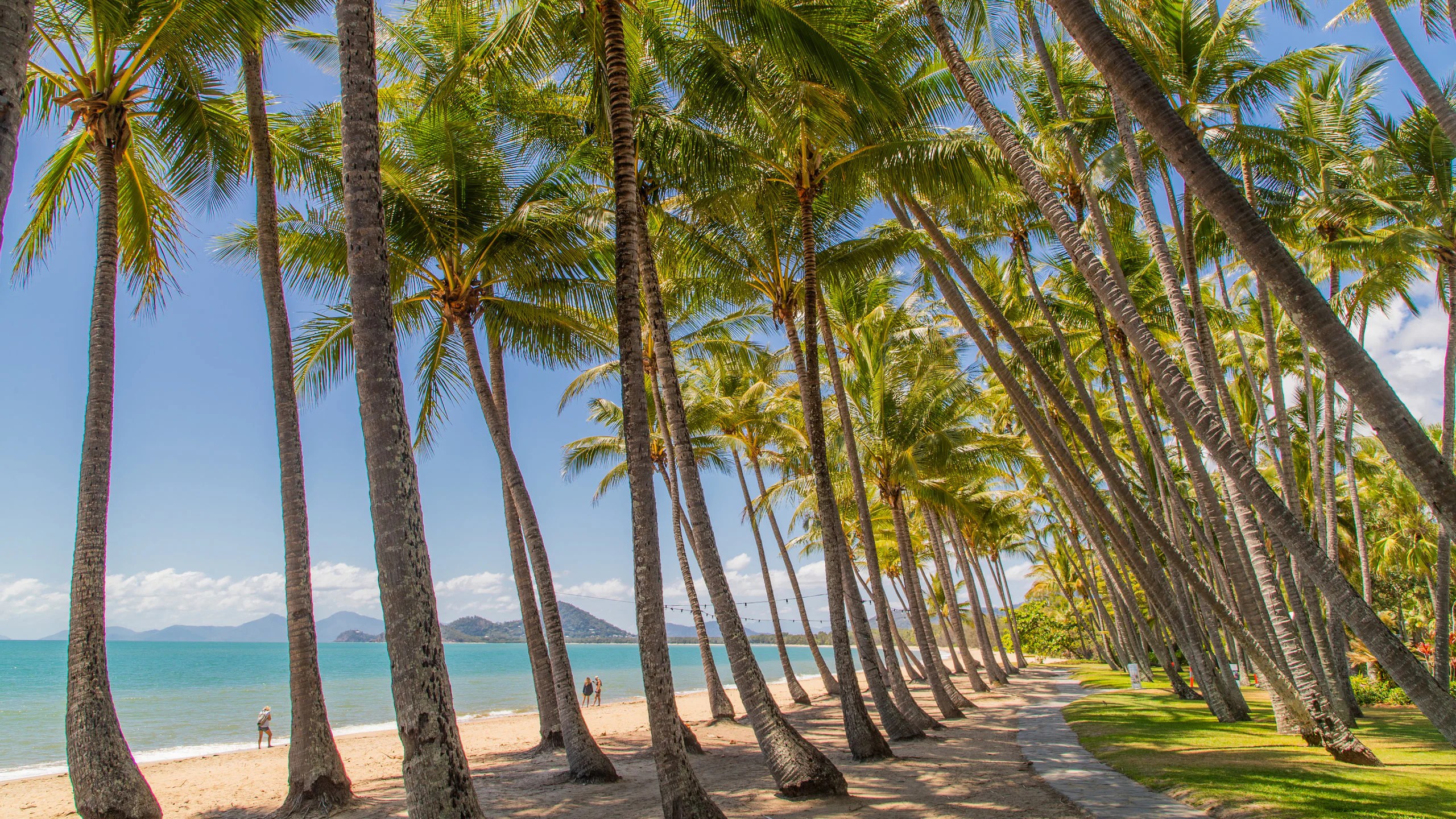 Palm Cove